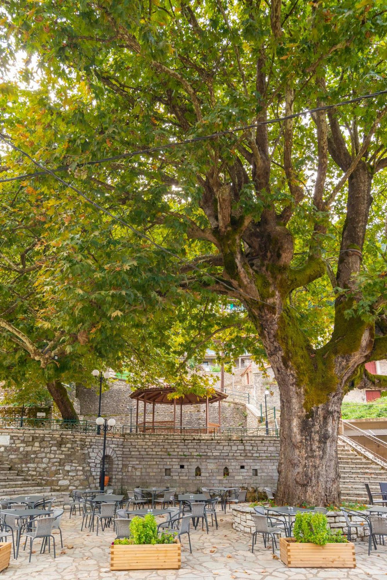 Helidona Hotel Mikrón Khoríon Bagian luar foto